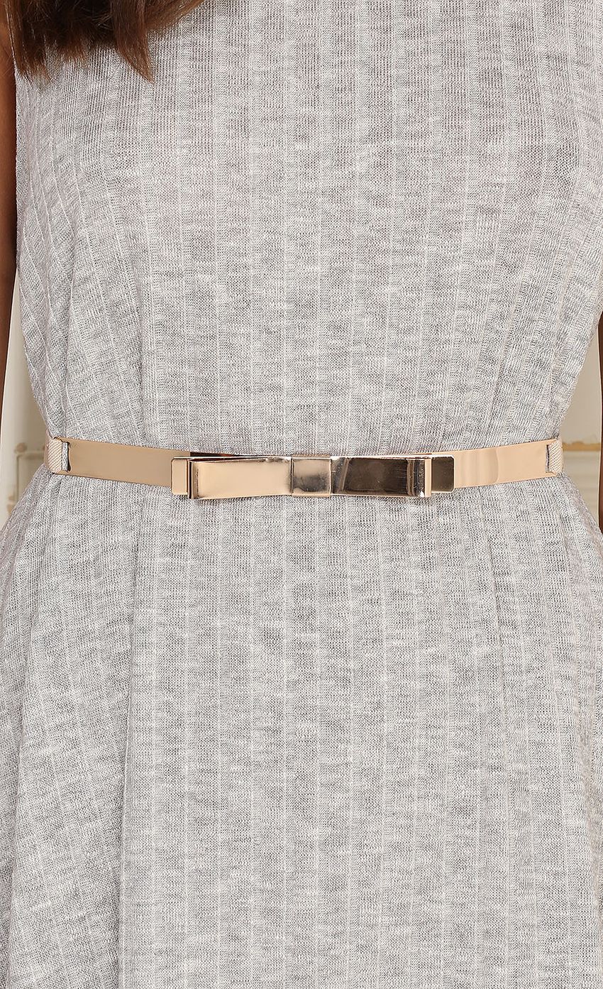 Picture Gold Bow Metallic Belt. Source: https://media-img.lucyinthesky.com/data/Apr15_1/850xAUTO/0Y5A5784.JPG