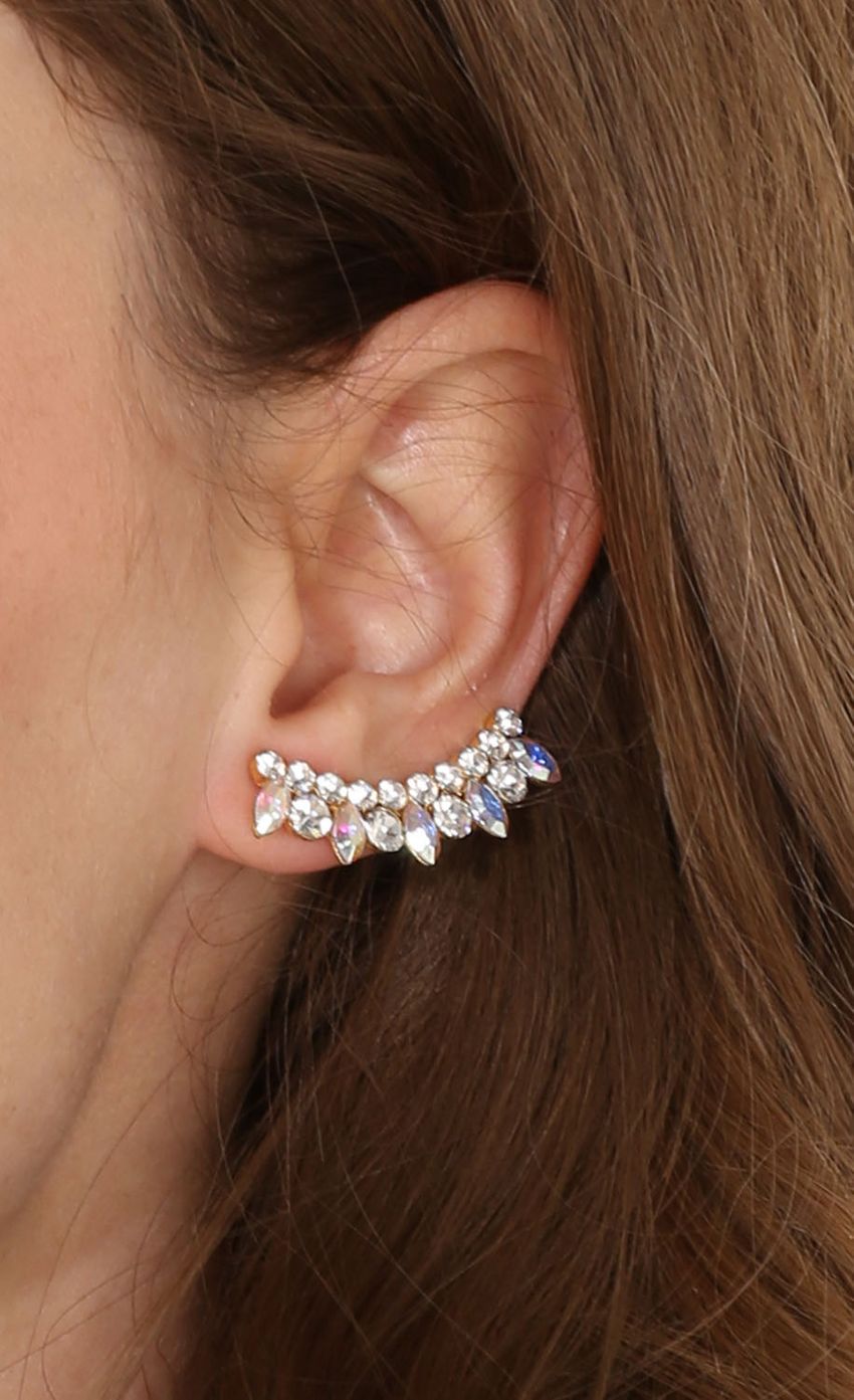 Picture Girl's Best Friend Statement Earrings. Source: https://media-img.lucyinthesky.com/data/Apr15_2/850xAUTO/0Y5A1375.JPG