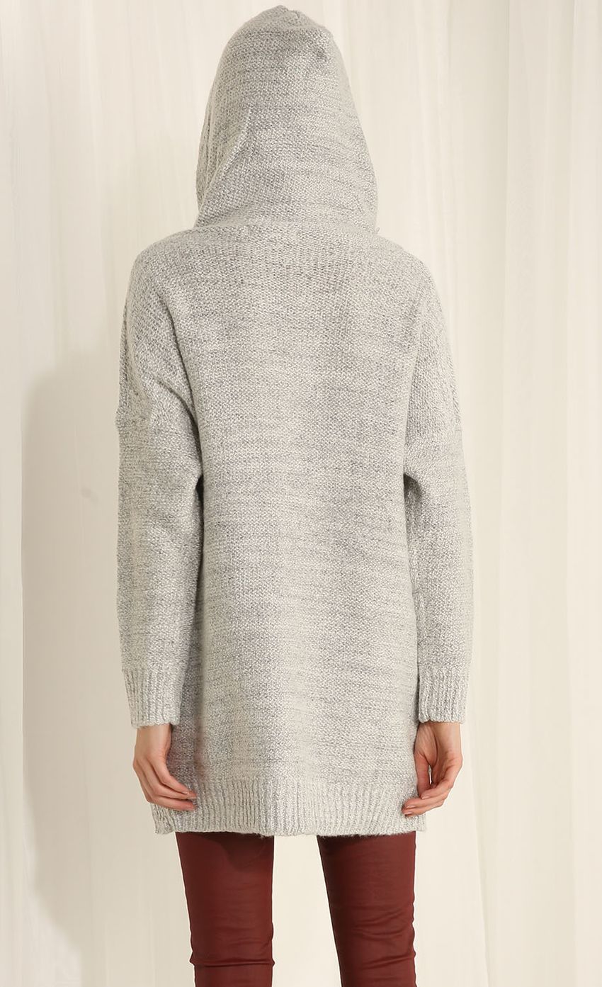 Picture Hooded Gray Cardigan. Source: https://media-img.lucyinthesky.com/data/Apr15_2/850xAUTO/0Y5A2127.JPG