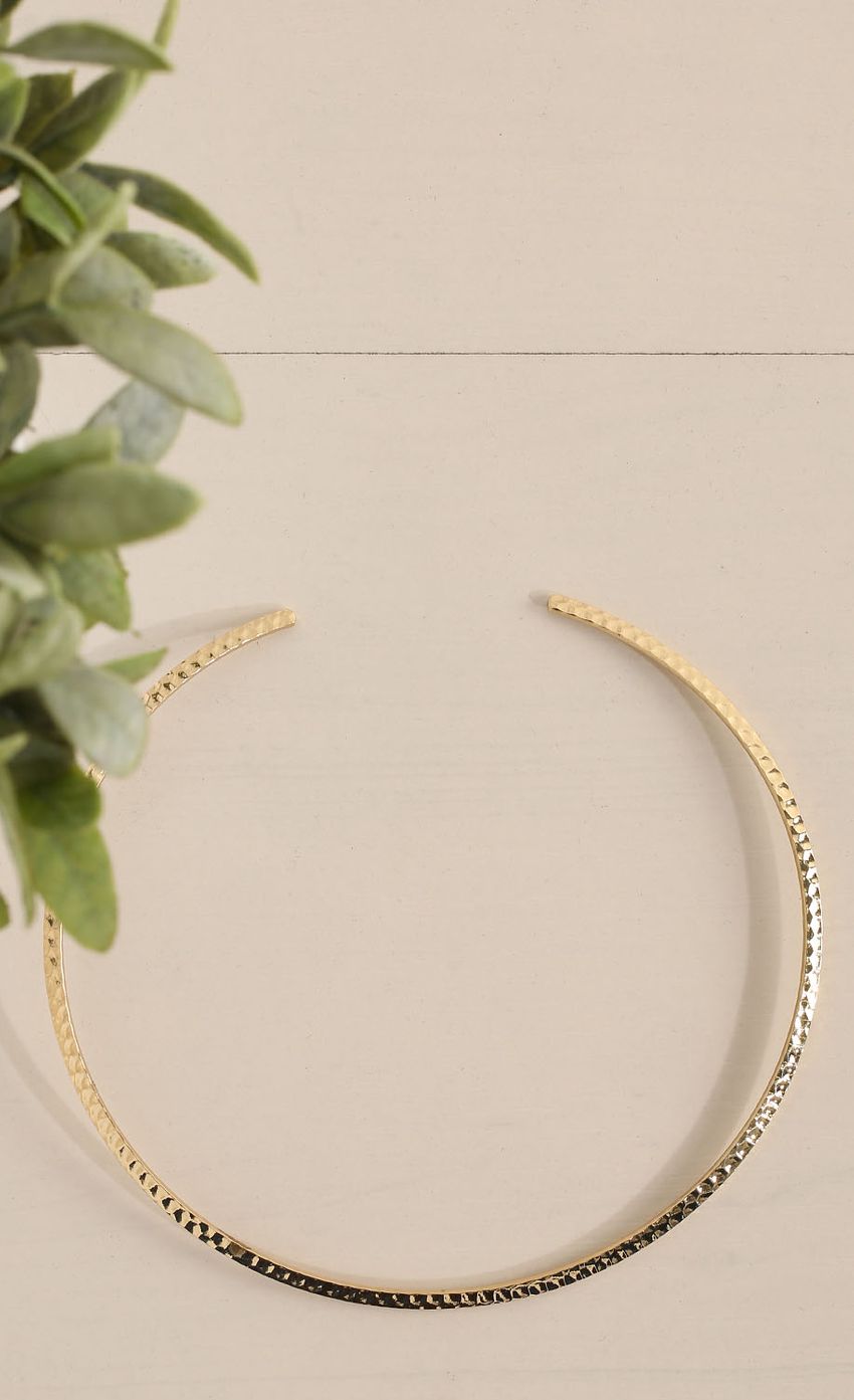 Picture Slim Gold Choker. Source: https://media-img.lucyinthesky.com/data/Apr15_2/850xAUTO/0Y5A2521.JPG