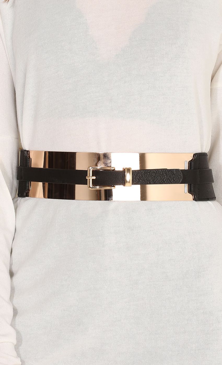 Picture Gold Panel Buckle Belt. Source: https://media-img.lucyinthesky.com/data/Apr15_2/850xAUTO/0Y5A3936.JPG