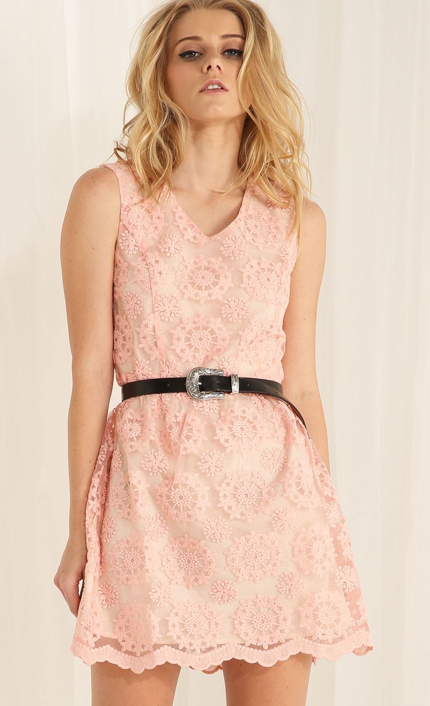 Picture Picnic Pink Lace Dress. Source: https://media-img.lucyinthesky.com/data/Apr15_2/850xAUTO/0Y5A7802.JPG