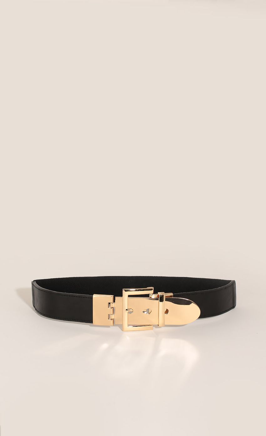 Picture Metal Buckle Waist Belt In Gold. Source: https://media-img.lucyinthesky.com/data/Apr16_1/850xAUTO/0Y5A2479.JPG