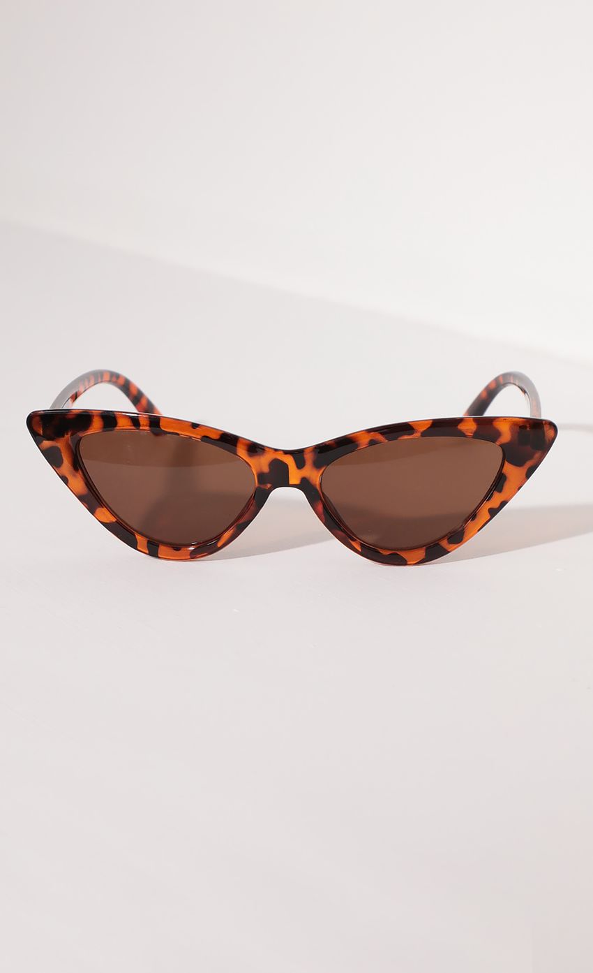 Picture Brown Tortoise Retro Cat Eye Sunglasses. Source: https://media-img.lucyinthesky.com/data/Apr21_1/850xAUTO/AT2A09511.JPG