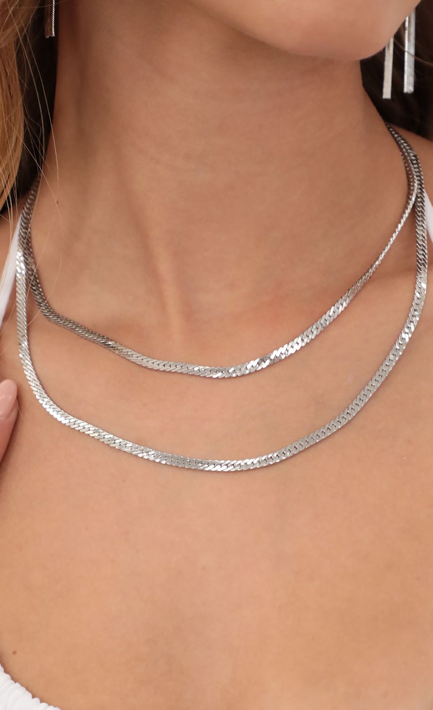 Picture Snake Duo Silver Chain Necklace. Source: https://media-img.lucyinthesky.com/data/Apr21_1/850xAUTO/AT2A2886.JPG