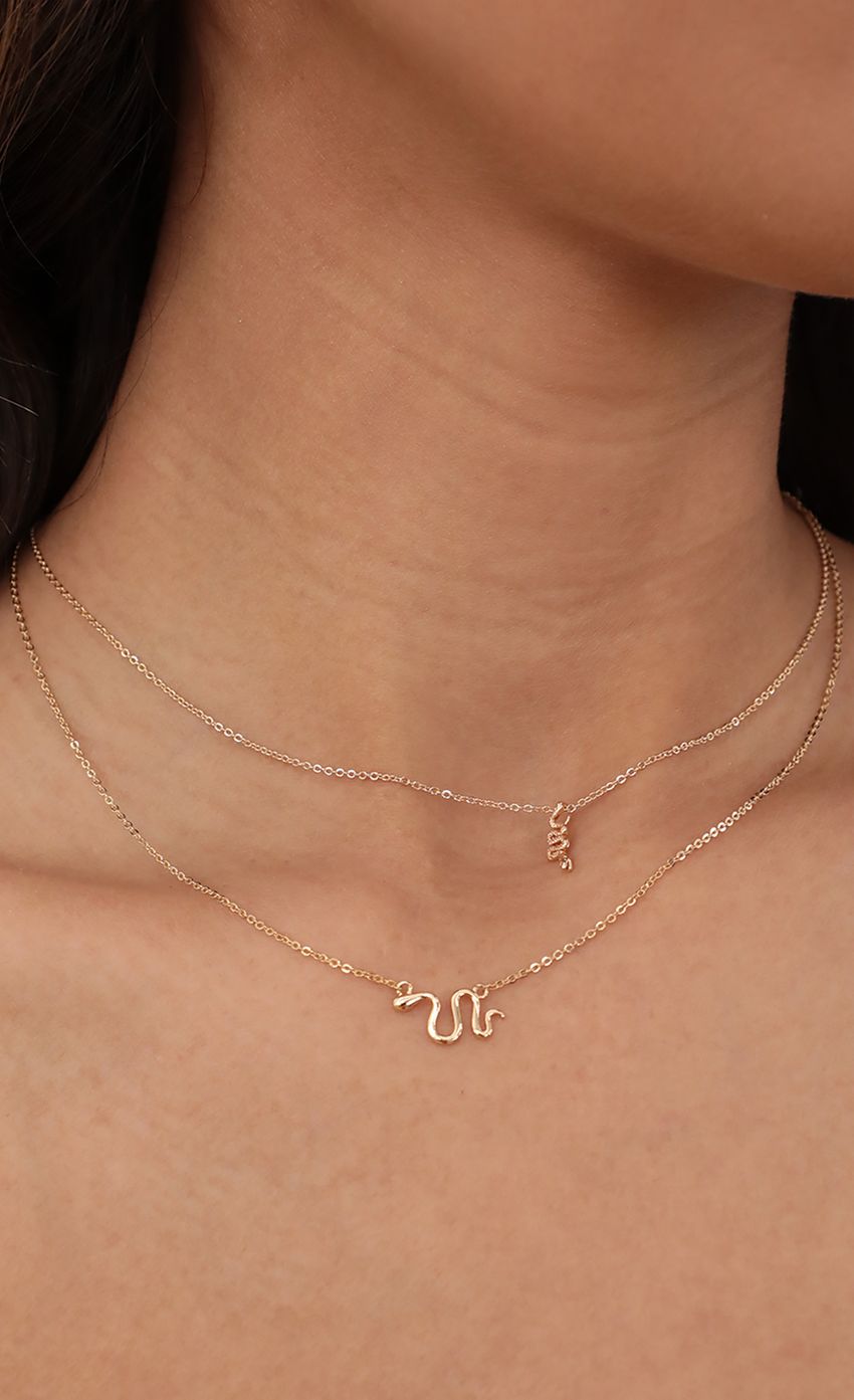 Picture Double Snake Layered Necklace. Source: https://media-img.lucyinthesky.com/data/Apr21_1/850xAUTO/AT2A5266.JPG