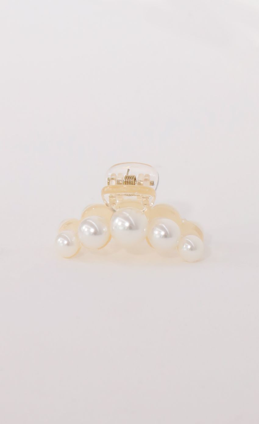 Picture Mini Pearl Claw Clip. Source: https://media-img.lucyinthesky.com/data/Apr21_1/850xAUTO/AT2A9528.JPG