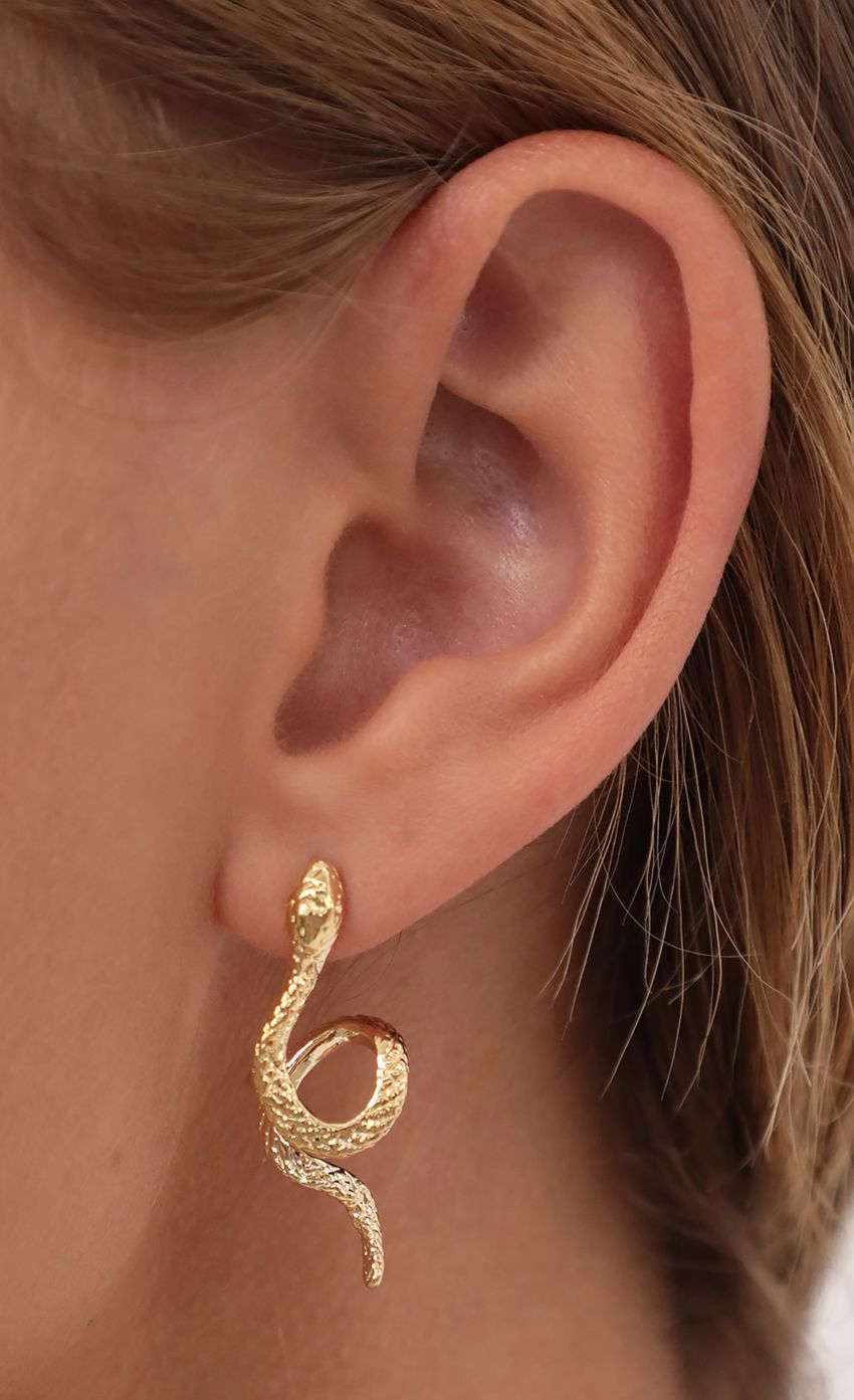 Picture Sneaky Snake Earrings. Source: https://media-img.lucyinthesky.com/data/Apr21_2/850xAUTO/AT2A1747.JPG