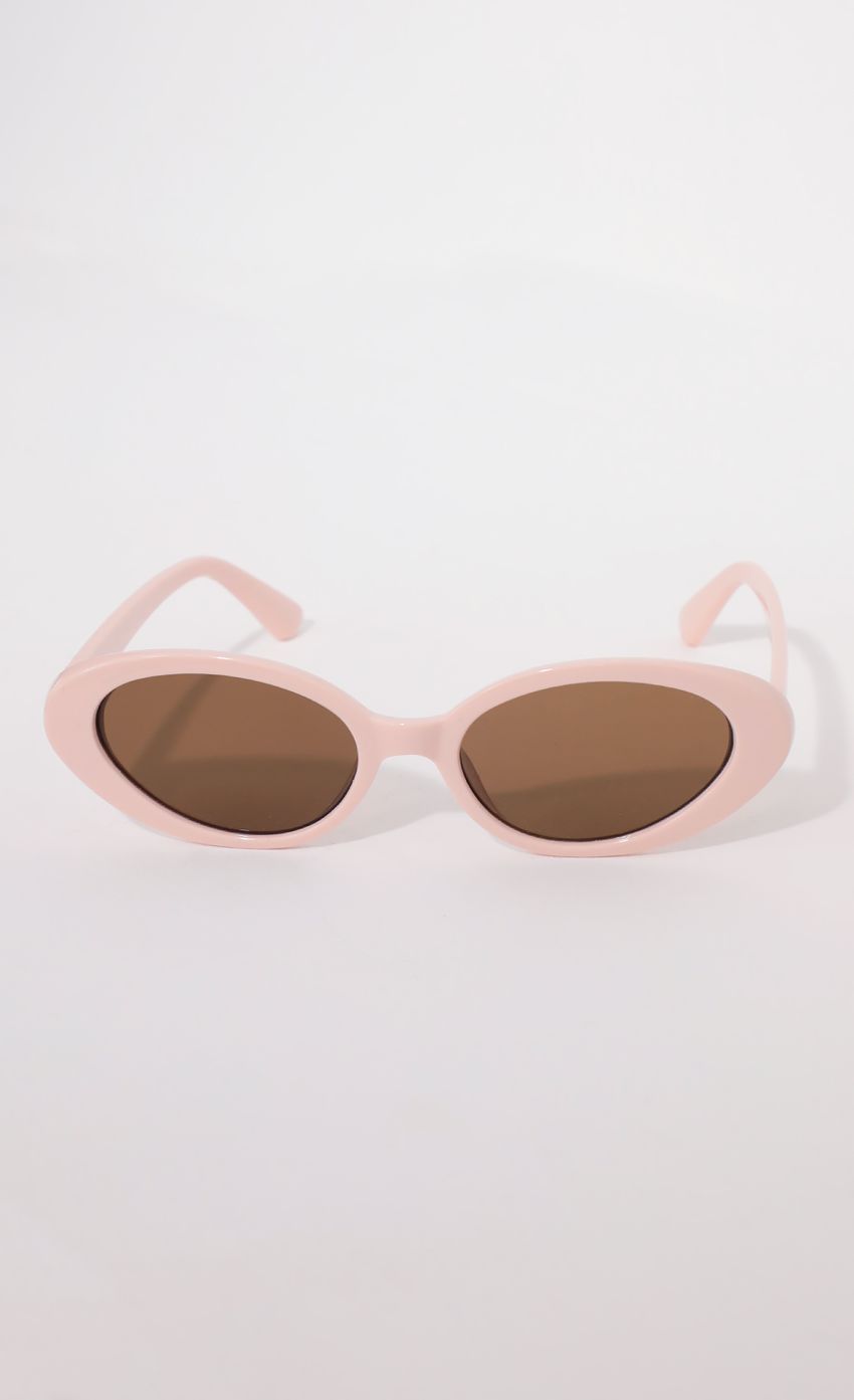 Picture The Jet Setter Sunglasses in Dusty Pink. Source: https://media-img.lucyinthesky.com/data/Apr21_2/850xAUTO/AT2A3972.JPG