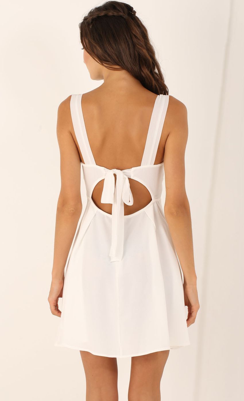 Picture A-line Bodice Dress with Mesh Panel. Source: https://media-img.lucyinthesky.com/data/Aug15_2/850xAUTO/0Y5A3108.JPG