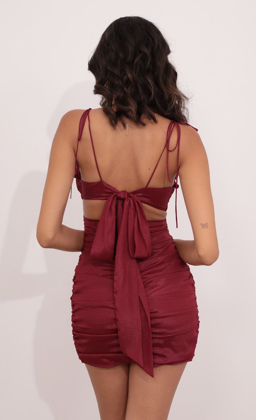 Picture Dress in Burgundy. Source: https://media-img.lucyinthesky.com/data/Aug21_2/850xAUTO/1V9A2683.JPG