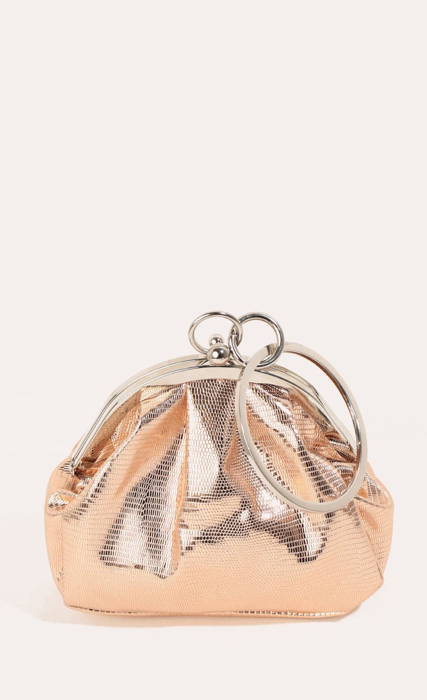Picture Snakeskin Coin Purse In Rose Gold. Source: https://media-img.lucyinthesky.com/data/Dec16_2/850xAUTO/0Y5A0505.JPG