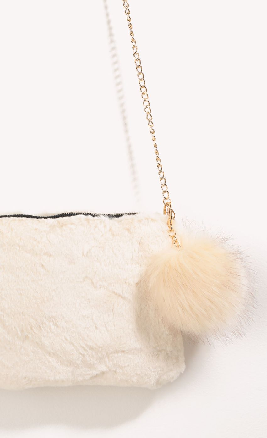 Picture Faux Fur Clutch Purse. Source: https://media-img.lucyinthesky.com/data/Dec16_2/850xAUTO/0Y5A0657.JPG
