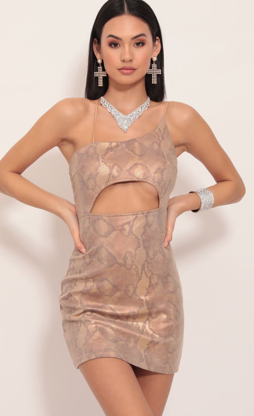 Picture Illusion Snake Print Cutout Dress. Source: https://media-img.lucyinthesky.com/data/Dec19_1/850xAUTO/781A2726.JPG