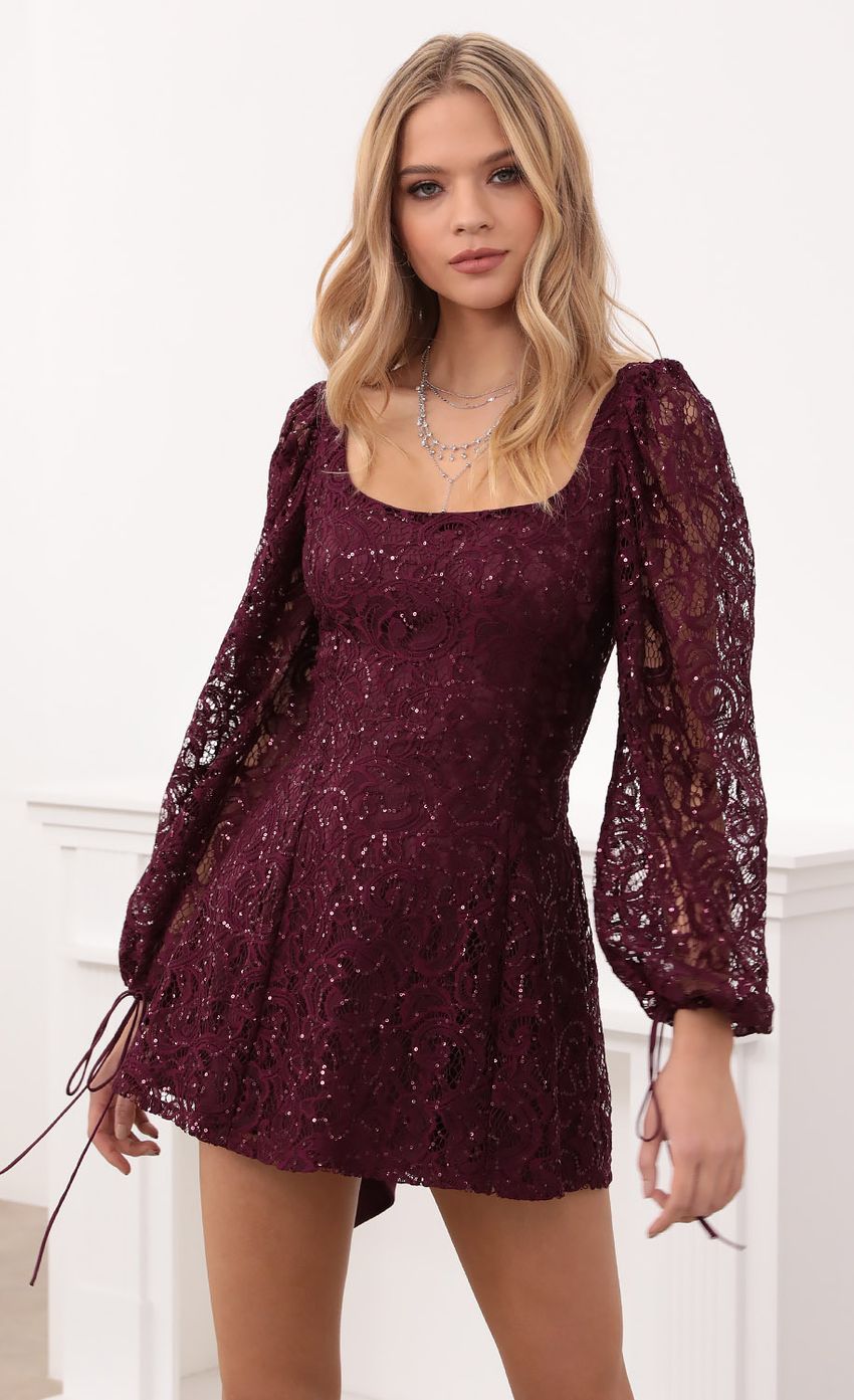 Picture A-Line Lace Dress in Merlot Lace. Source: https://media-img.lucyinthesky.com/data/Dec20_1/850xAUTO/1V9A3067.JPG