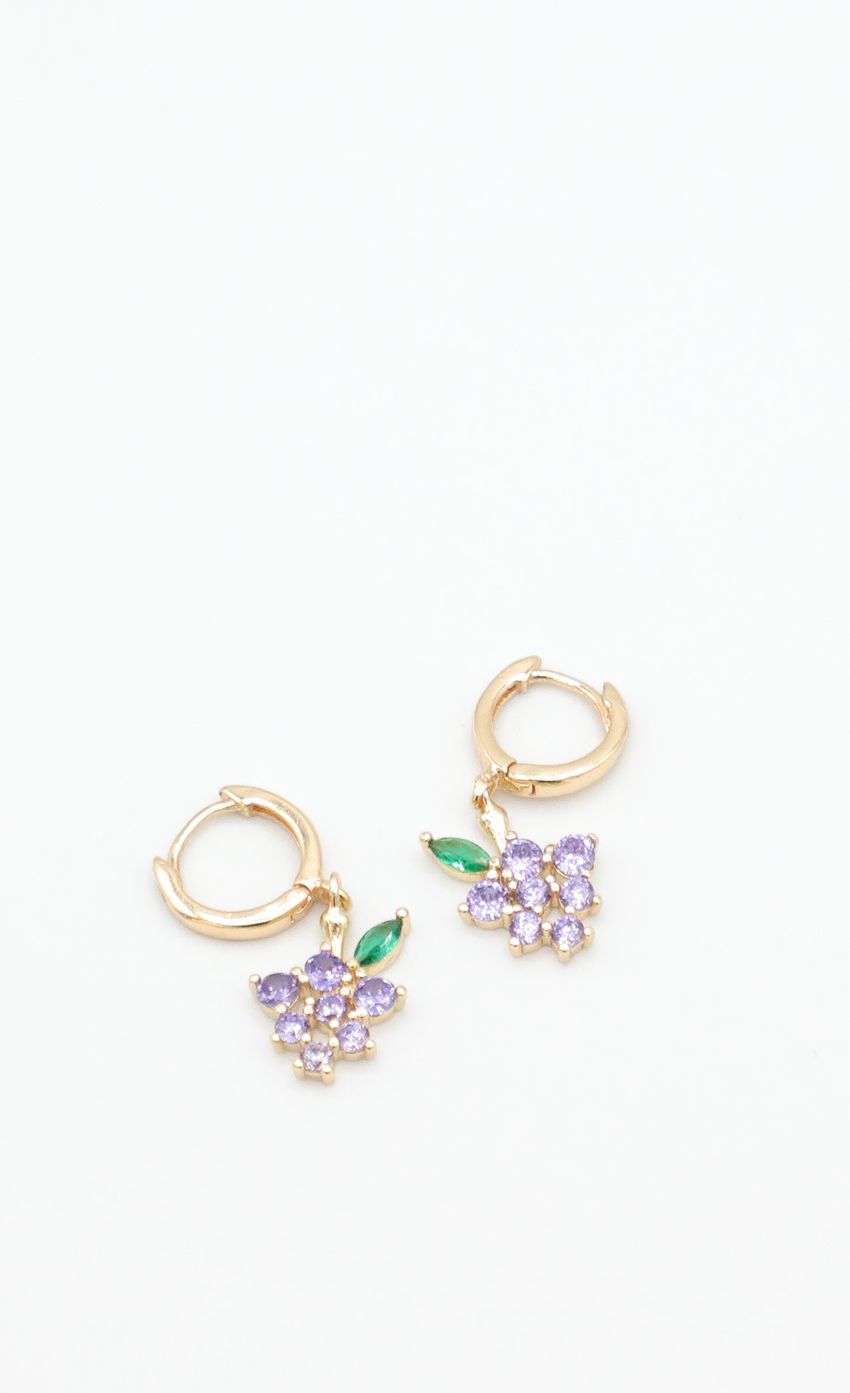 Picture Pick Me Up Earring in Gold. Source: https://media-img.lucyinthesky.com/data/Dec21_2/850xAUTO/1J7A0040.JPG