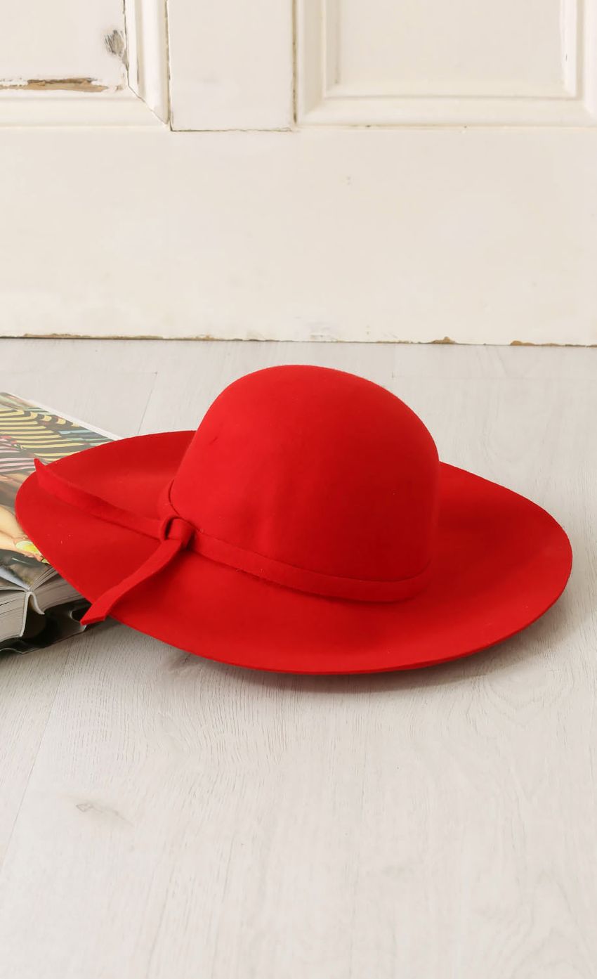 Picture Soft Red Wide Brimmed Hat. Source: https://media-img.lucyinthesky.com/data/Feb15_2/850xAUTO/0Y5A77981.JPG