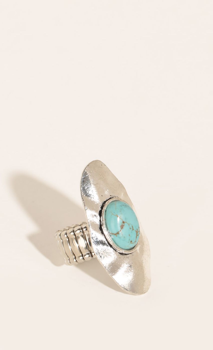 Picture Stone Embedded Statement Ring In Silver. Source: https://media-img.lucyinthesky.com/data/Feb16_2/850xAUTO/0Y5A6717.JPG