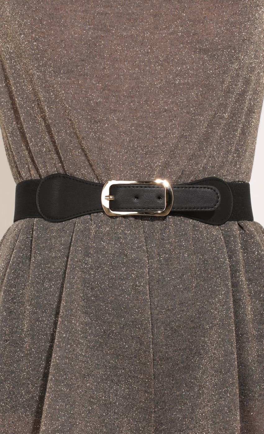 Picture Faux Leather Skinny Waist Belt. Source: https://media-img.lucyinthesky.com/data/Feb17_2/850xAUTO/0Y5A4059.JPG