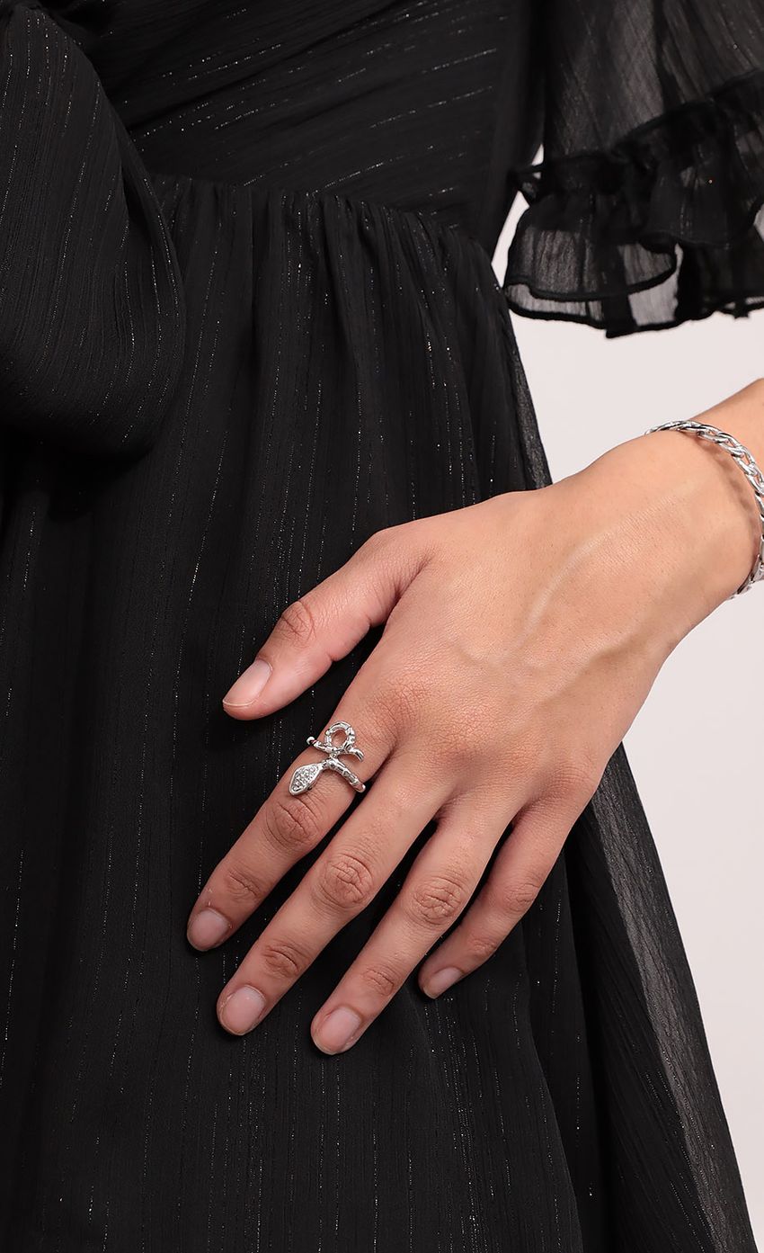 Picture Snake Eyes Crystal Ring in Silver. Source: https://media-img.lucyinthesky.com/data/Feb21_1/850xAUTO/1V9A2664.JPG