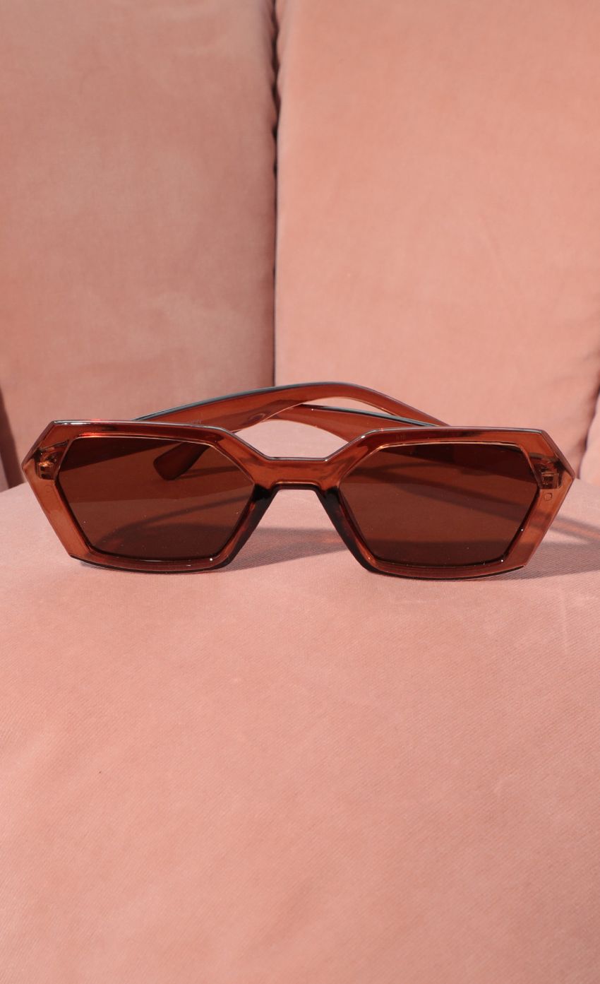 Picture Geometric Trendy Sunglasses in Brown. Source: https://media-img.lucyinthesky.com/data/Feb21_1/850xAUTO/AT2A9333.JPG
