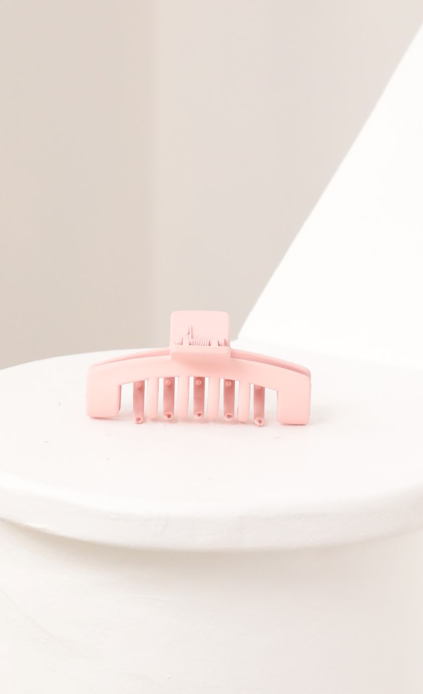 Picture Elizabeth Clip in Light Pink. Source: https://media-img.lucyinthesky.com/data/Feb21_1/850xAUTO/AT2A9376_COPY.JPG