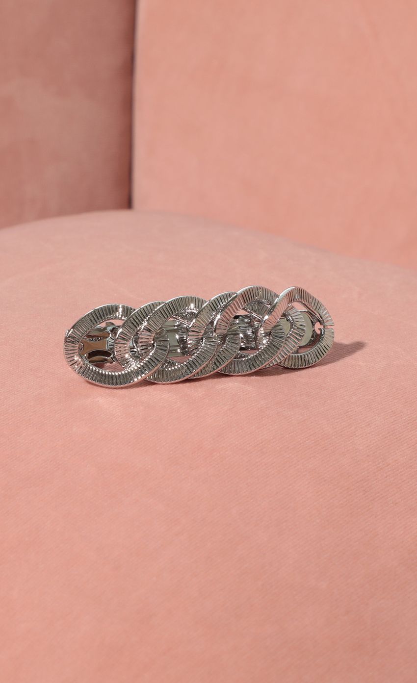Picture Twisted Silver Hair Clip. Source: https://media-img.lucyinthesky.com/data/Feb21_1/850xAUTO/AT2A9377.JPG