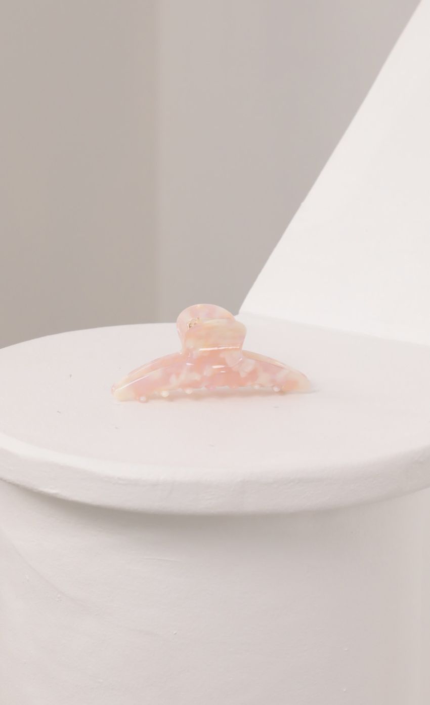 Picture Billie Hair Clip in Pink Marble. Source: https://media-img.lucyinthesky.com/data/Feb21_1/850xAUTO/AT2A9386_COPY.JPG