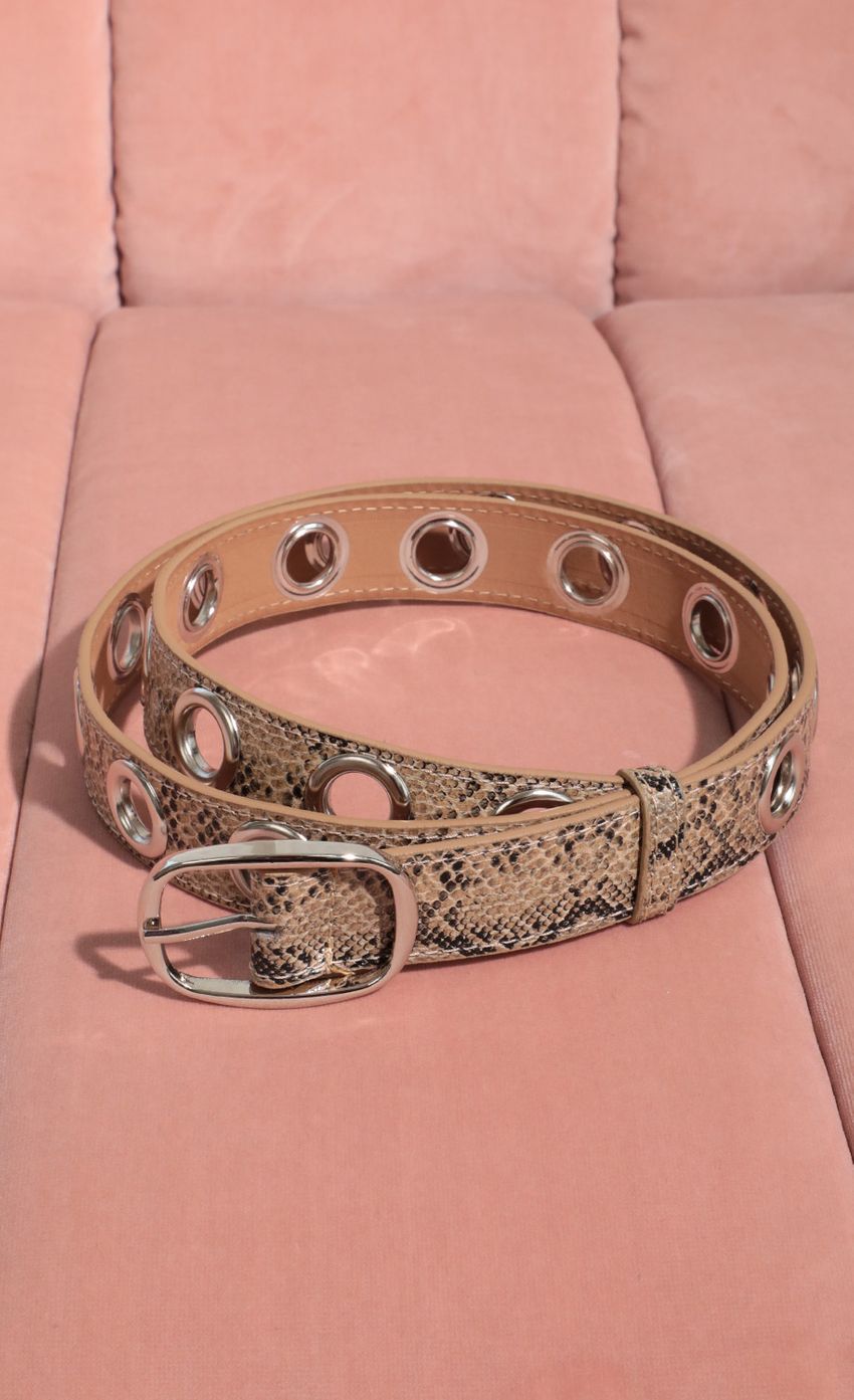 Picture Snakeskin Eyelet Belt. Source: https://media-img.lucyinthesky.com/data/Feb21_1/850xAUTO/AT2A9398_COPY.JPG