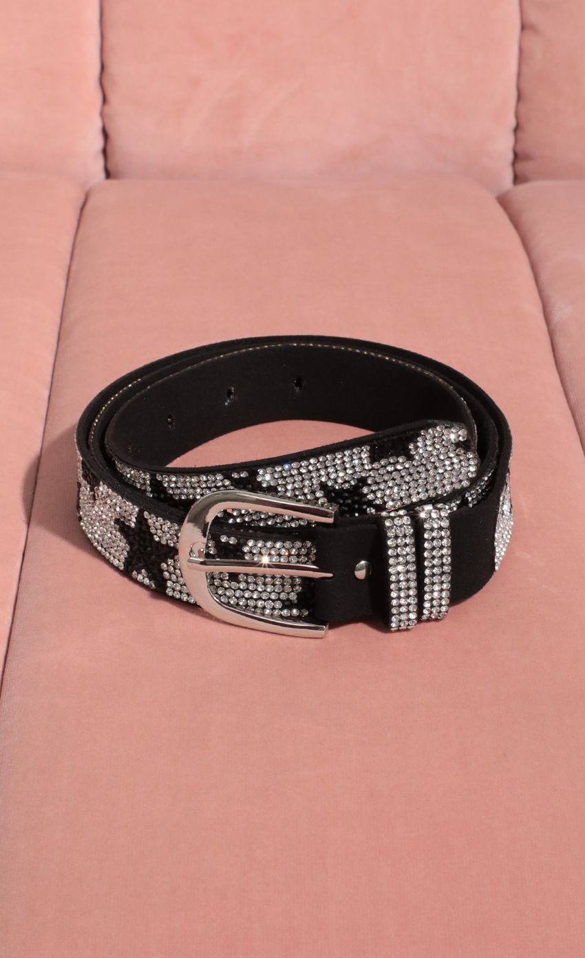 Picture Rockstar Belt. Source: https://media-img.lucyinthesky.com/data/Feb21_1/850xAUTO/AT2A9403_COPY.JPG