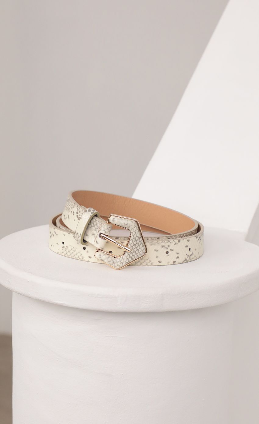 Picture Cream Snakeskin Print Belt. Source: https://media-img.lucyinthesky.com/data/Feb21_2/850xAUTO/AT2A6111_COPY1.JPG