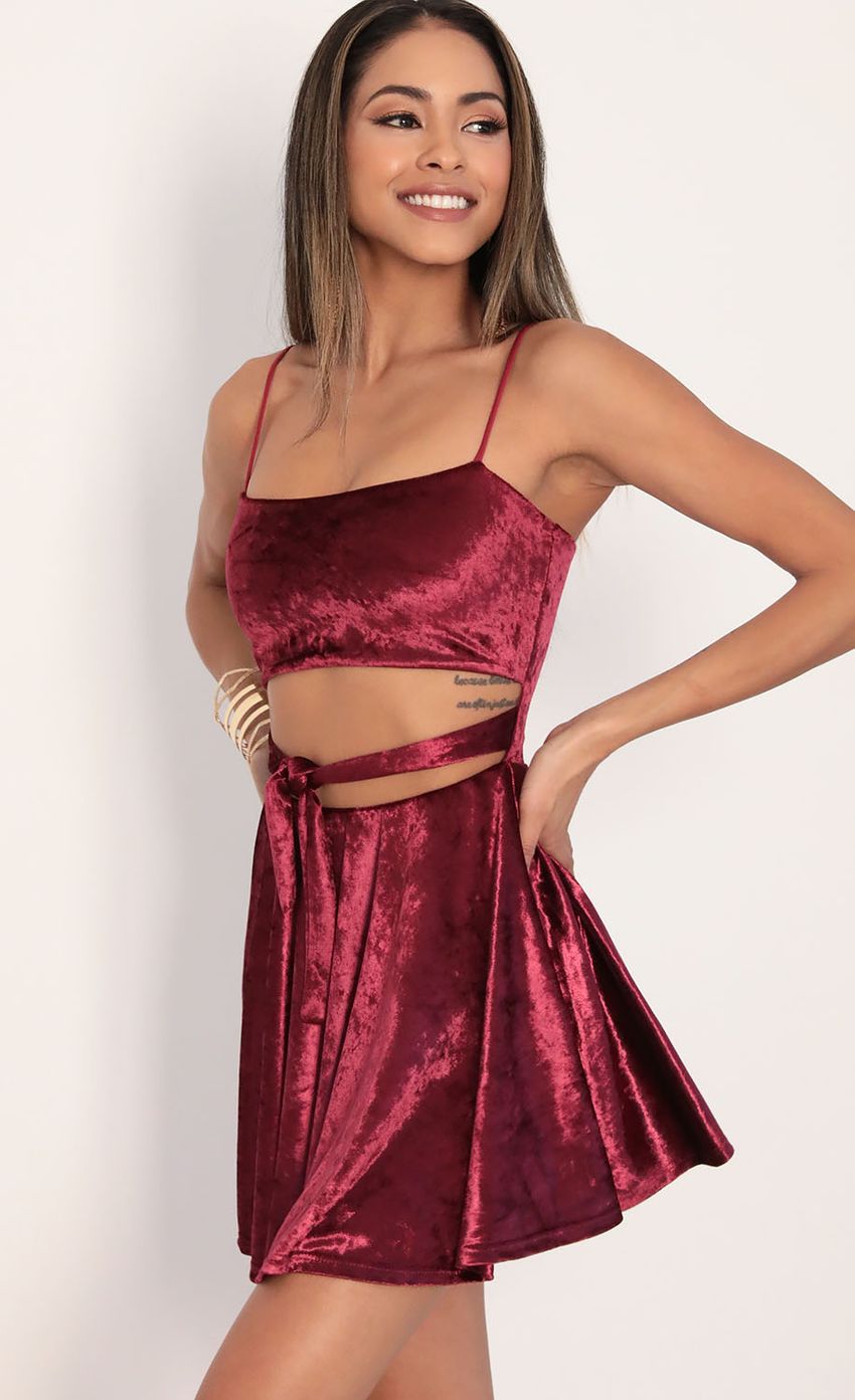 Picture Perrie Velvet A-line Dress in Merlot. Source: https://media-img.lucyinthesky.com/data/Jan20_2/850xAUTO/781A0016.JPG