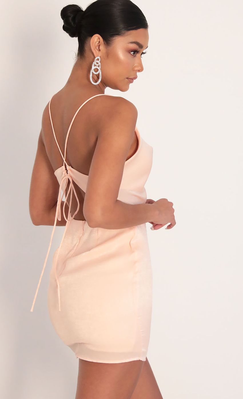 Picture Satin Cowl Neck Dress in Blush. Source: https://media-img.lucyinthesky.com/data/Jan20_2/850xAUTO/781A8049.JPG