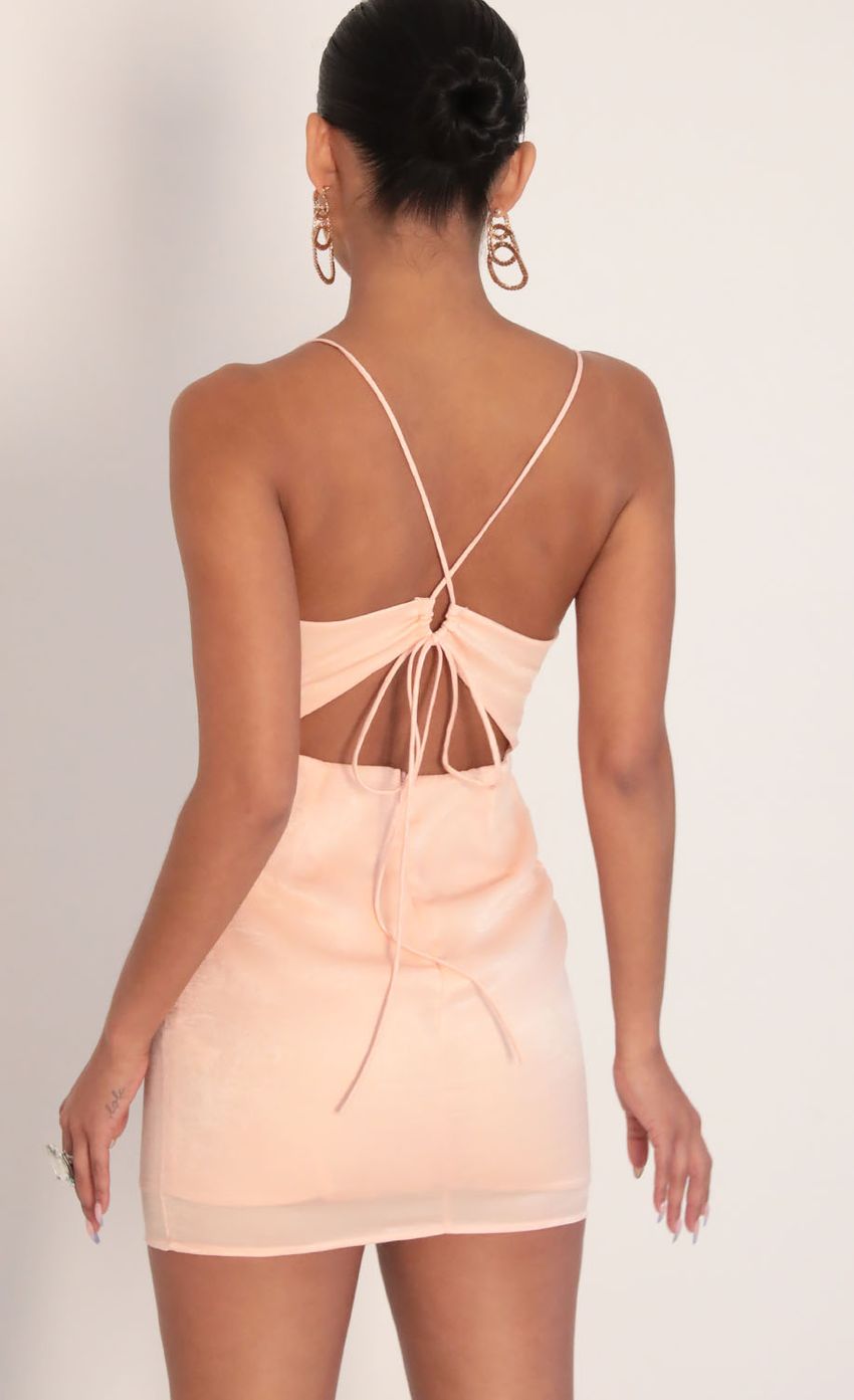 Picture Satin Cowl Neck Dress in Blush. Source: https://media-img.lucyinthesky.com/data/Jan20_2/850xAUTO/781A8060.JPG