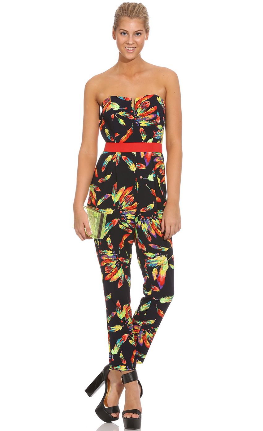 Picture BIRDS OF A FEATHER JUMPSUIT IN BLACK. Source: https://media-img.lucyinthesky.com/data/Mar14_2/850xAUTO/0Y5A0132SLIM.JPG