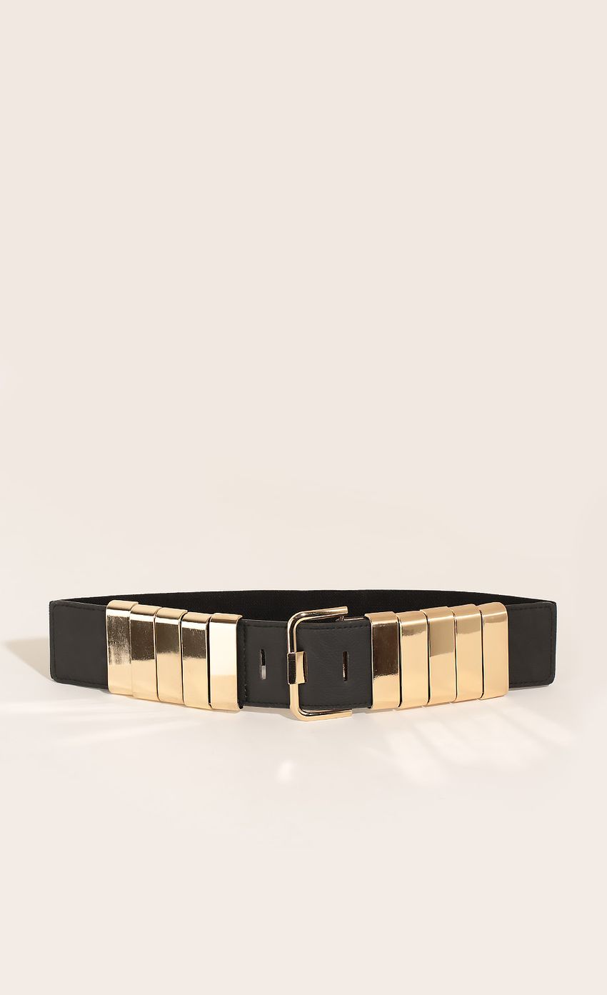 Picture Stacked Metal Waist Belt In Black. Source: https://media-img.lucyinthesky.com/data/Mar16_1/850xAUTO/0Y5A9109.JPG