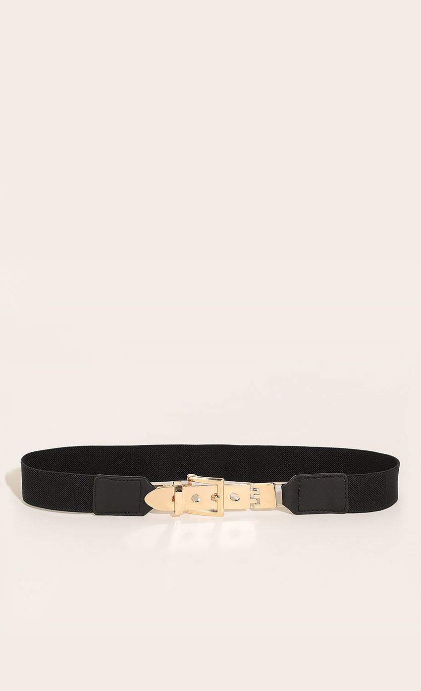 Picture Buckle Waist Belt In Gold And Black. Source: https://media-img.lucyinthesky.com/data/Mar16_1/850xAUTO/0Y5A9840.JPG
