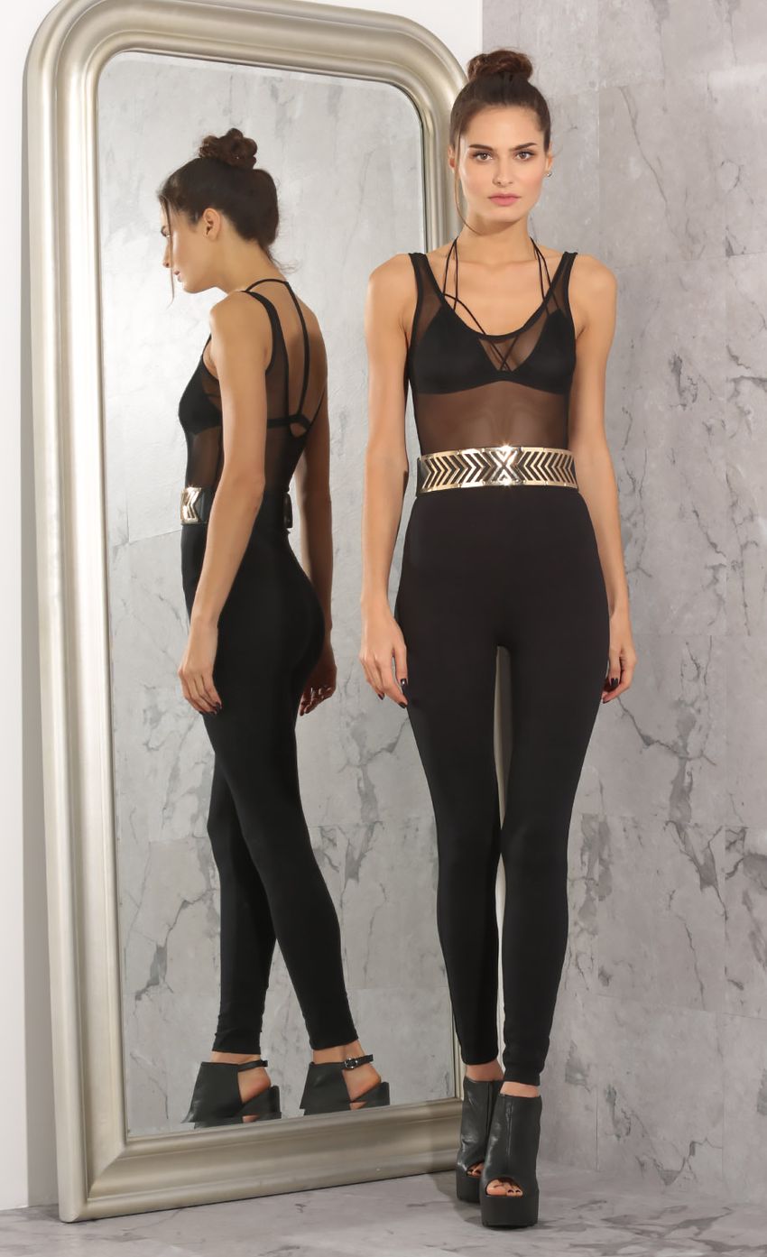Picture Sheer Jumpsuit In Black. Source: https://media-img.lucyinthesky.com/data/Mar16_2/850xAUTO/0Y5A3039.JPG