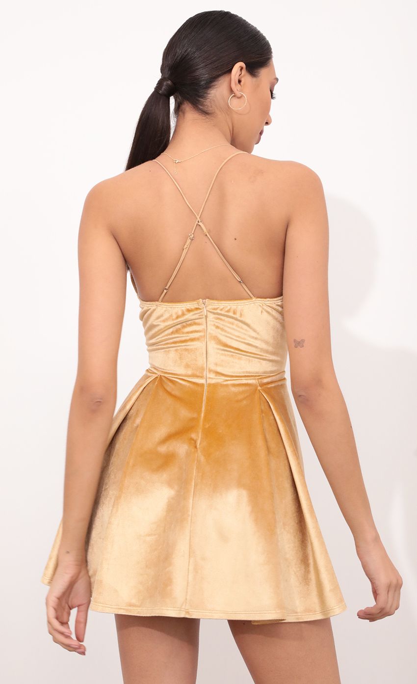 Picture Pleated A-line Velvet Dress In Mustard. Source: https://media-img.lucyinthesky.com/data/Mar21_1/850xAUTO/1V9A7555.JPG