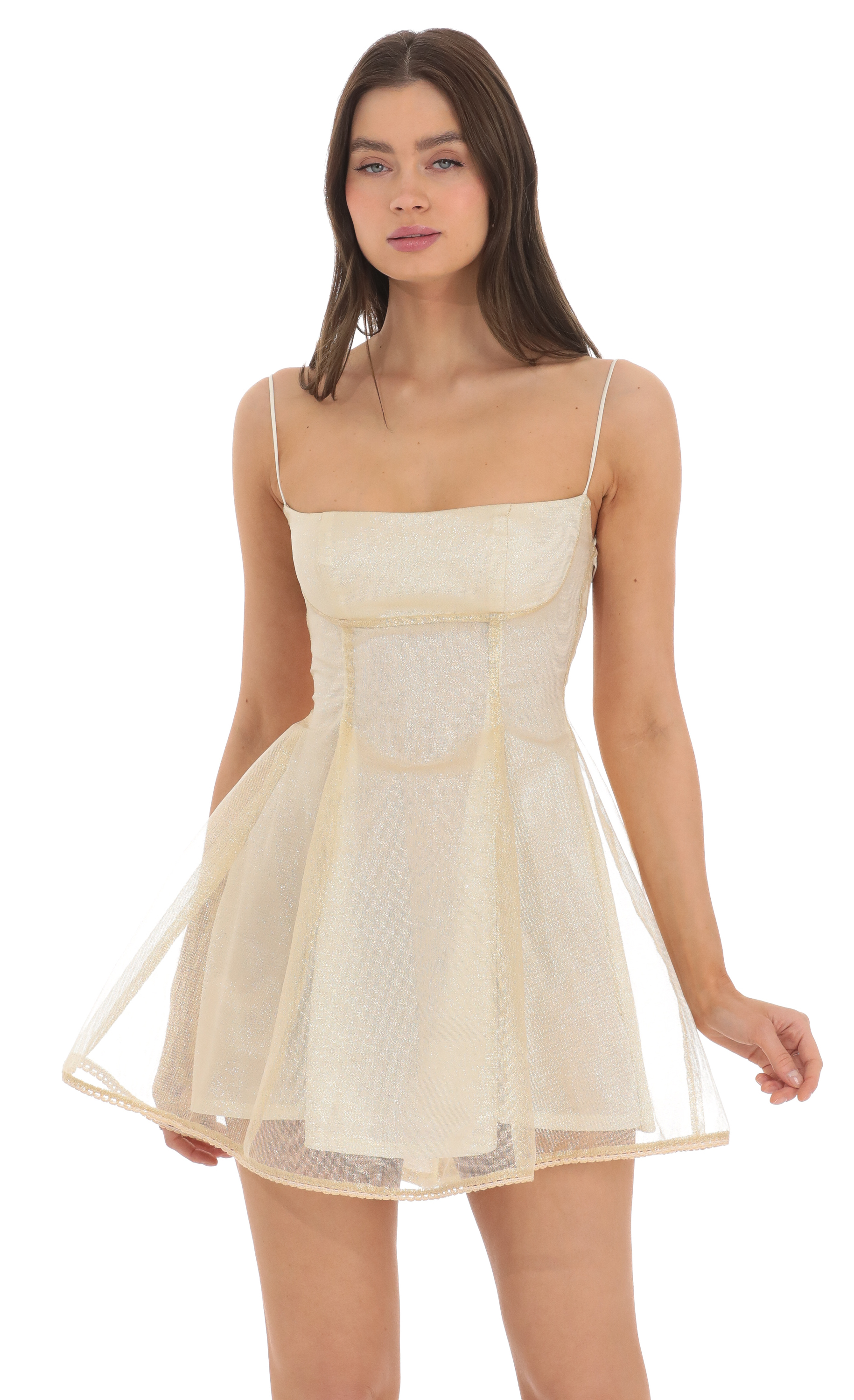 Gold Shimmer Tulle Fit and Flare Dress in Cream