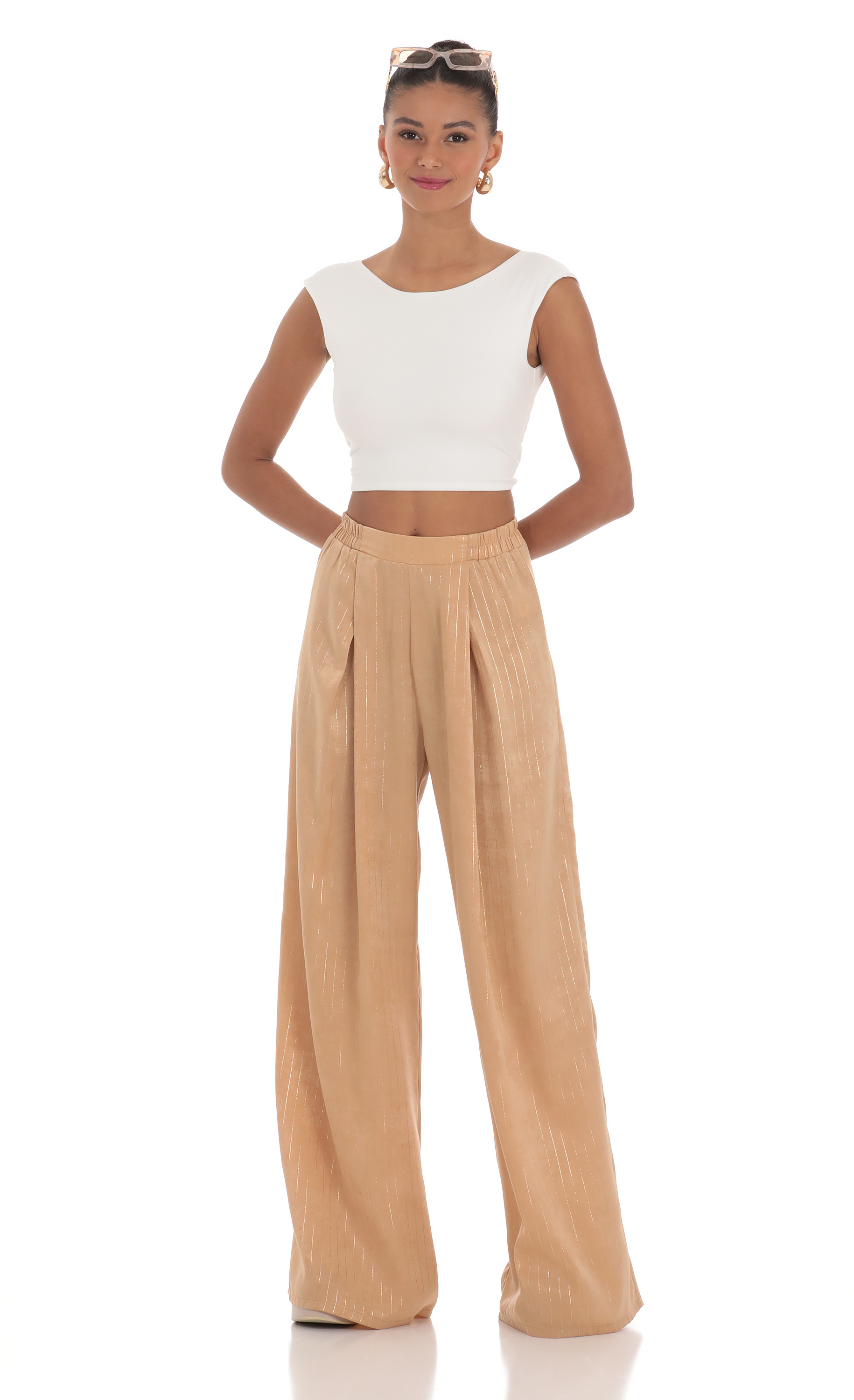 Wide Shimmer Striped Pants in Light Brown