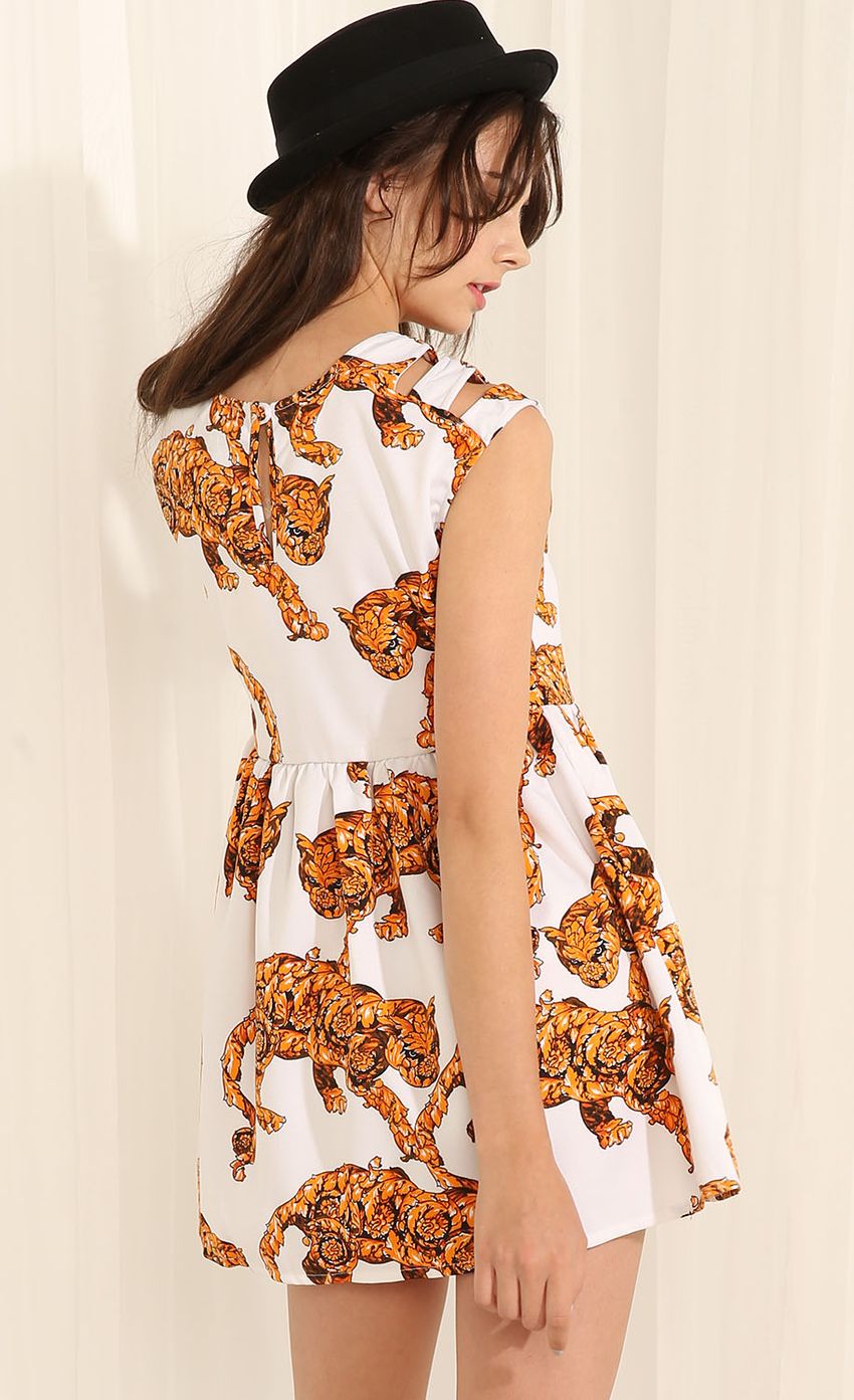 Picture Big Cat A-line Dress. Source: https://media-img.lucyinthesky.com/data/May15_1/850xAUTO/0Y5A3293.JPG