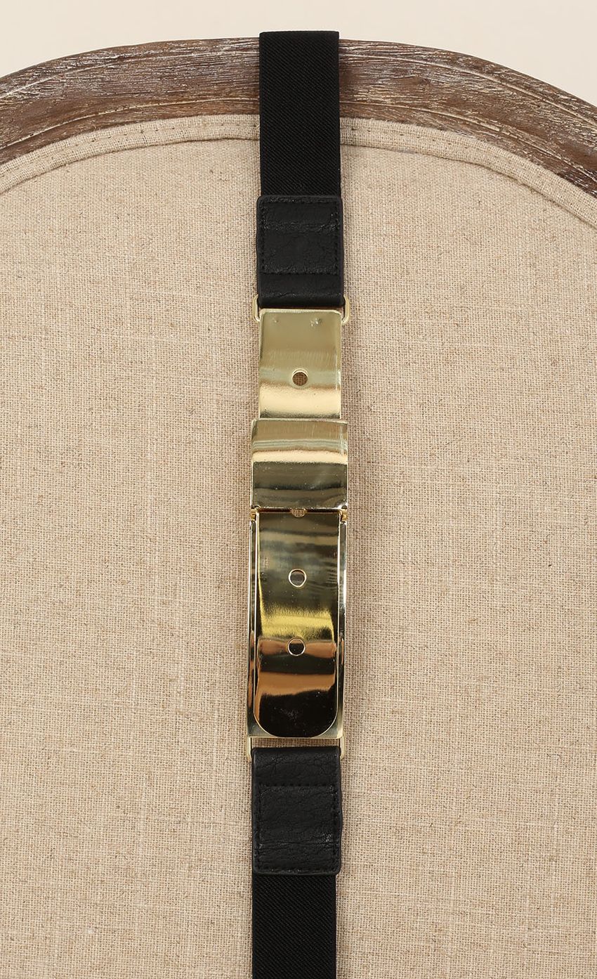 Picture Panelled Buckle Belt In Gold. Source: https://media-img.lucyinthesky.com/data/May15_2/850xAUTO/0Y5A2044.JPG
