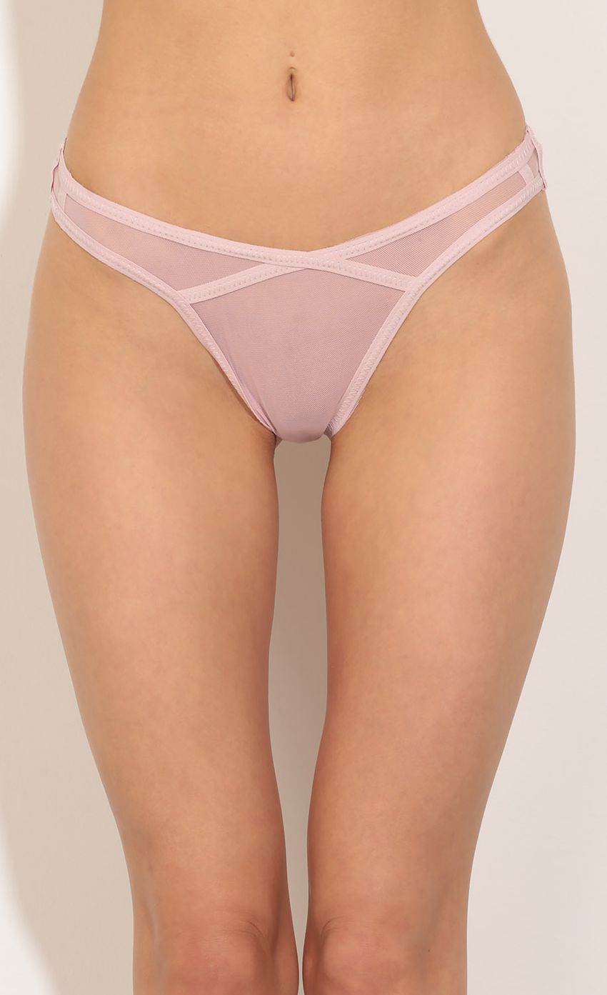 Picture Sheer Thong Panty In Pink. Source: https://media-img.lucyinthesky.com/data/May16_2/850xAUTO/0Y5A26141.JPG