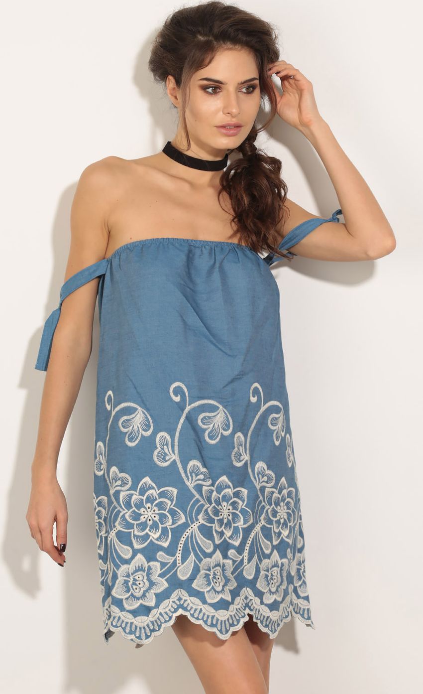 Picture Embroidered Vines Day Dress In Blue. Source: https://media-img.lucyinthesky.com/data/May16_2/850xAUTO/0Y5A3916.JPG