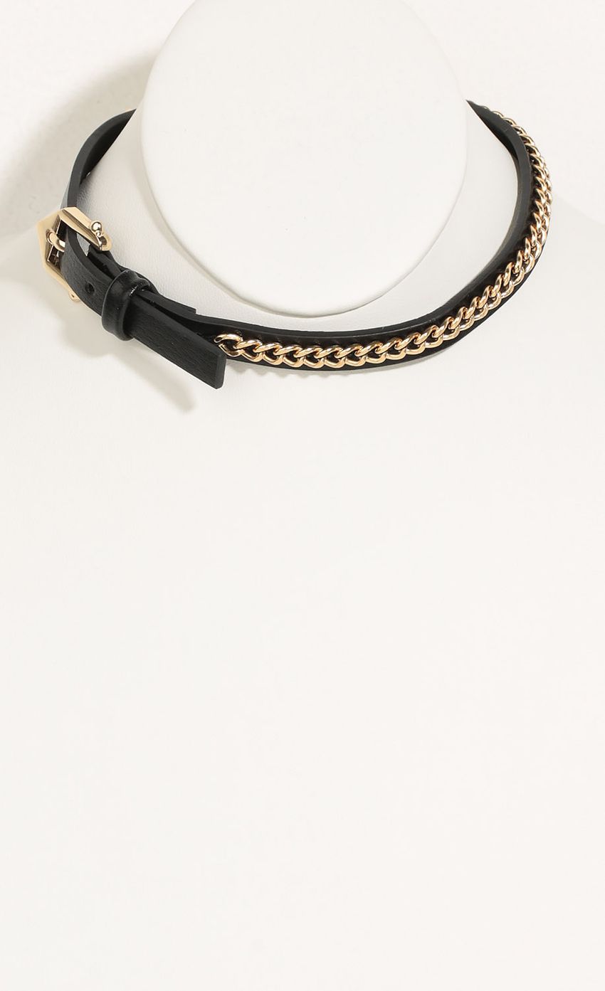 Picture Leather And Chain Choker Necklace In Black And Gold. Source: https://media-img.lucyinthesky.com/data/May16_2/850xAUTO/0Y5A8668.JPG