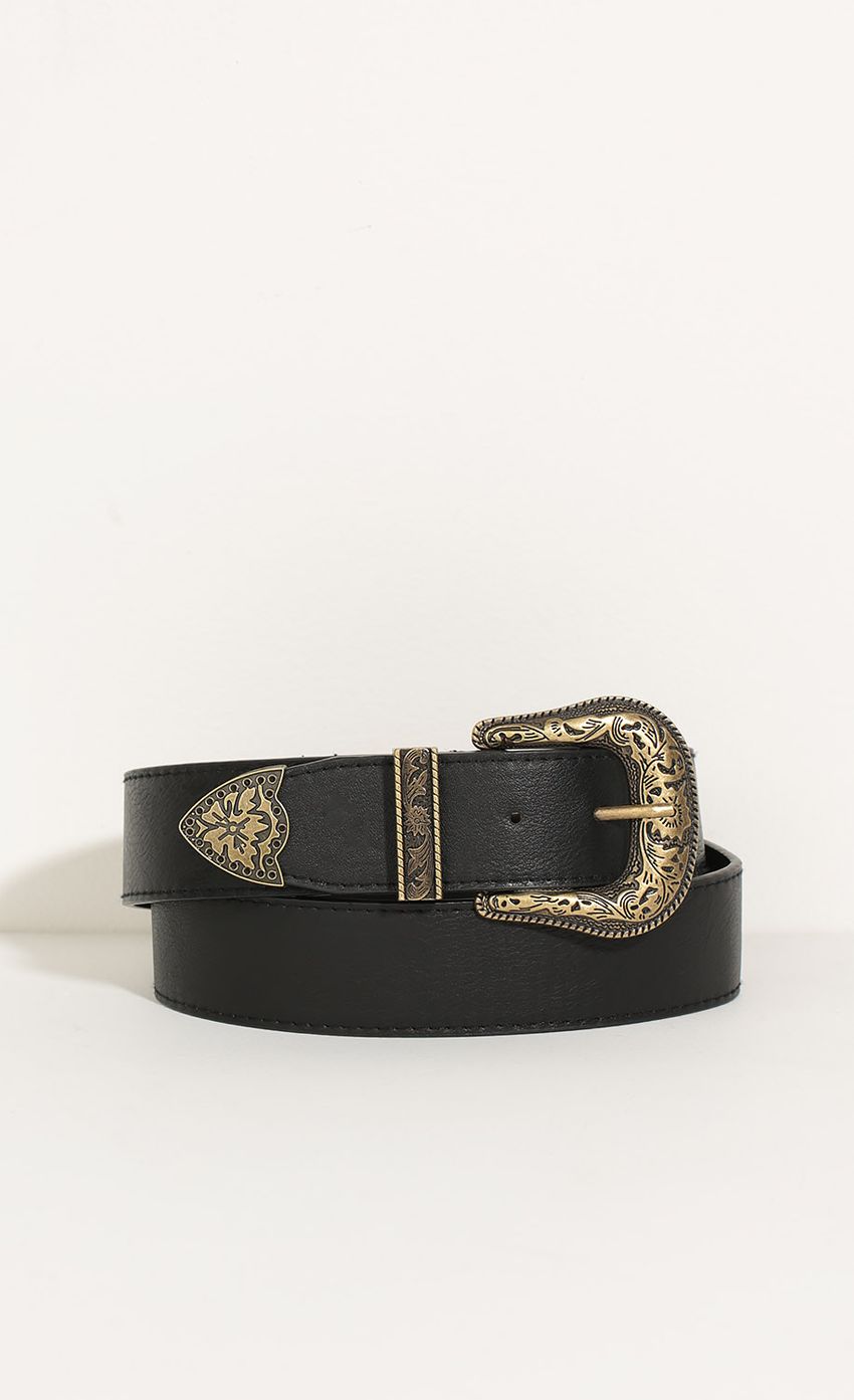 Picture Etched Design PU Leather Belt In Rustic Gold. Source: https://media-img.lucyinthesky.com/data/May16_2/850xAUTO/0Y5A8684.JPG
