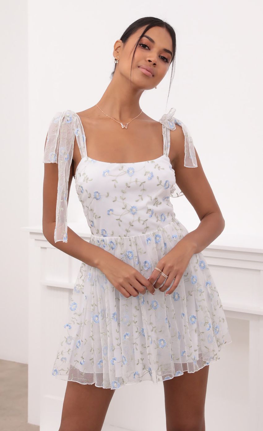 Picture Embroidered Blue Flower Mesh Dress in White. Source: https://media-img.lucyinthesky.com/data/May21_2/850xAUTO/1V9A3289.JPG