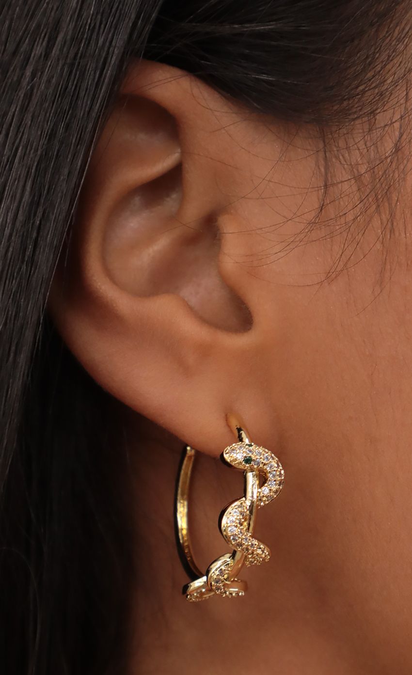Picture Pave Snake Wrapped Hoop Earrings. Source: https://media-img.lucyinthesky.com/data/May21_2/850xAUTO/AT2A7031.JPG