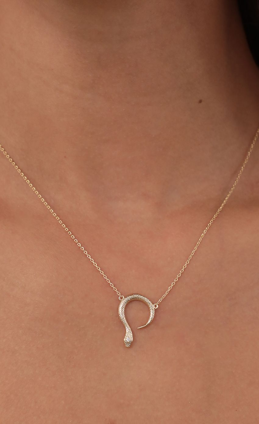 Picture Snake Pendant Necklace in Gold. Source: https://media-img.lucyinthesky.com/data/May21_2/850xAUTO/AT2A7775.JPG